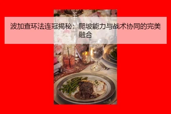 bo-jia-cha-huan-fa-lian-guan-jie-mi-pa-po-neng-li-yu-zhan-shu-xie-tong-de-wan-mei-rong-he-3-792.jpg
