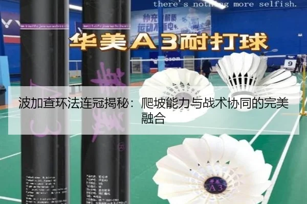 波加查环法连冠揭秘：爬坡能力与战术协同的完美融合