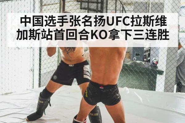 MMA knockout punch